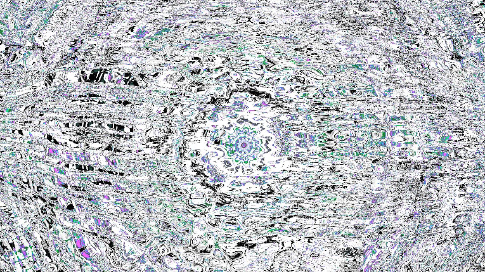 Image 'reflets &mdash; msg &mdash; variations 1 zygotes 2 1'.