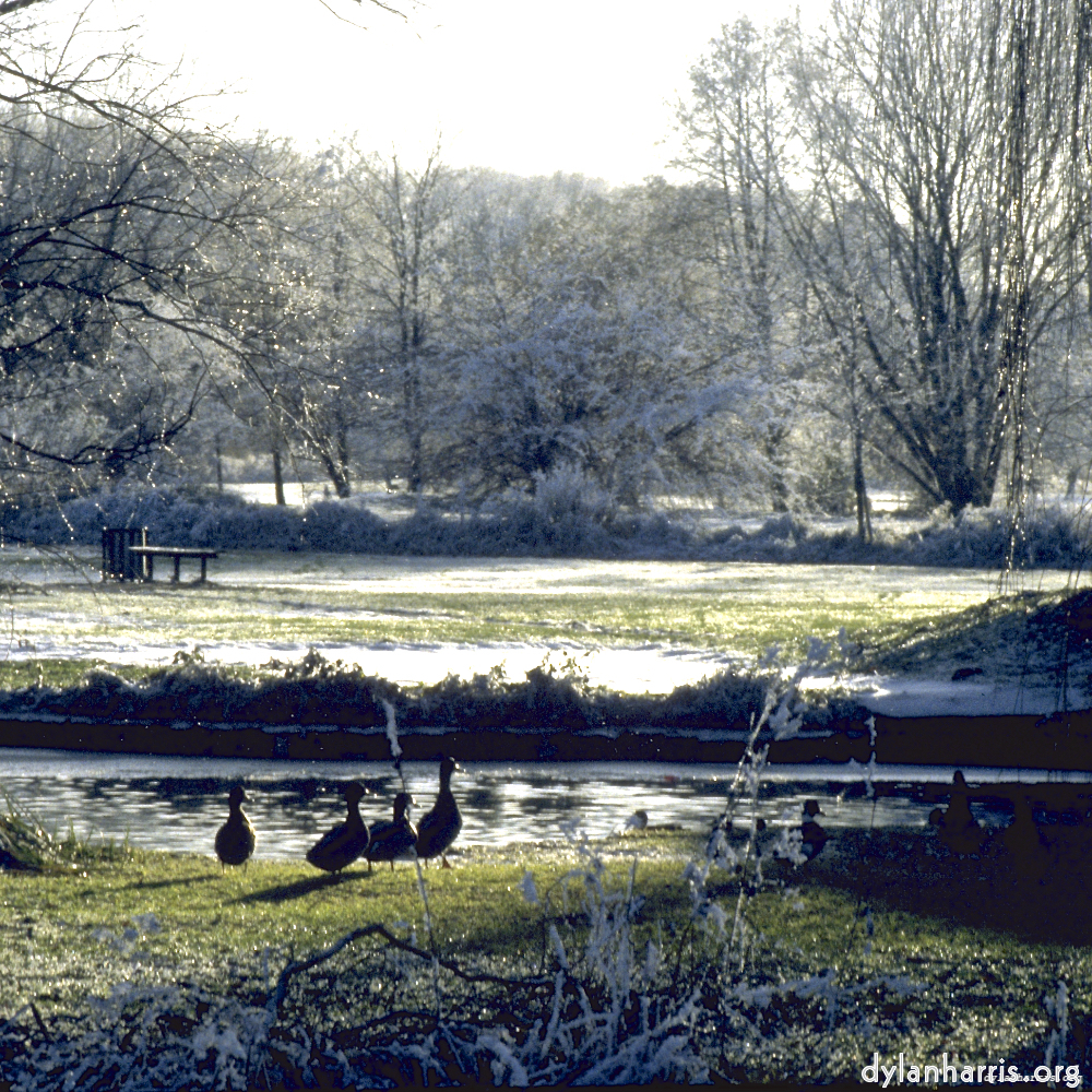 Image 'st.neots park (i) 4'.
