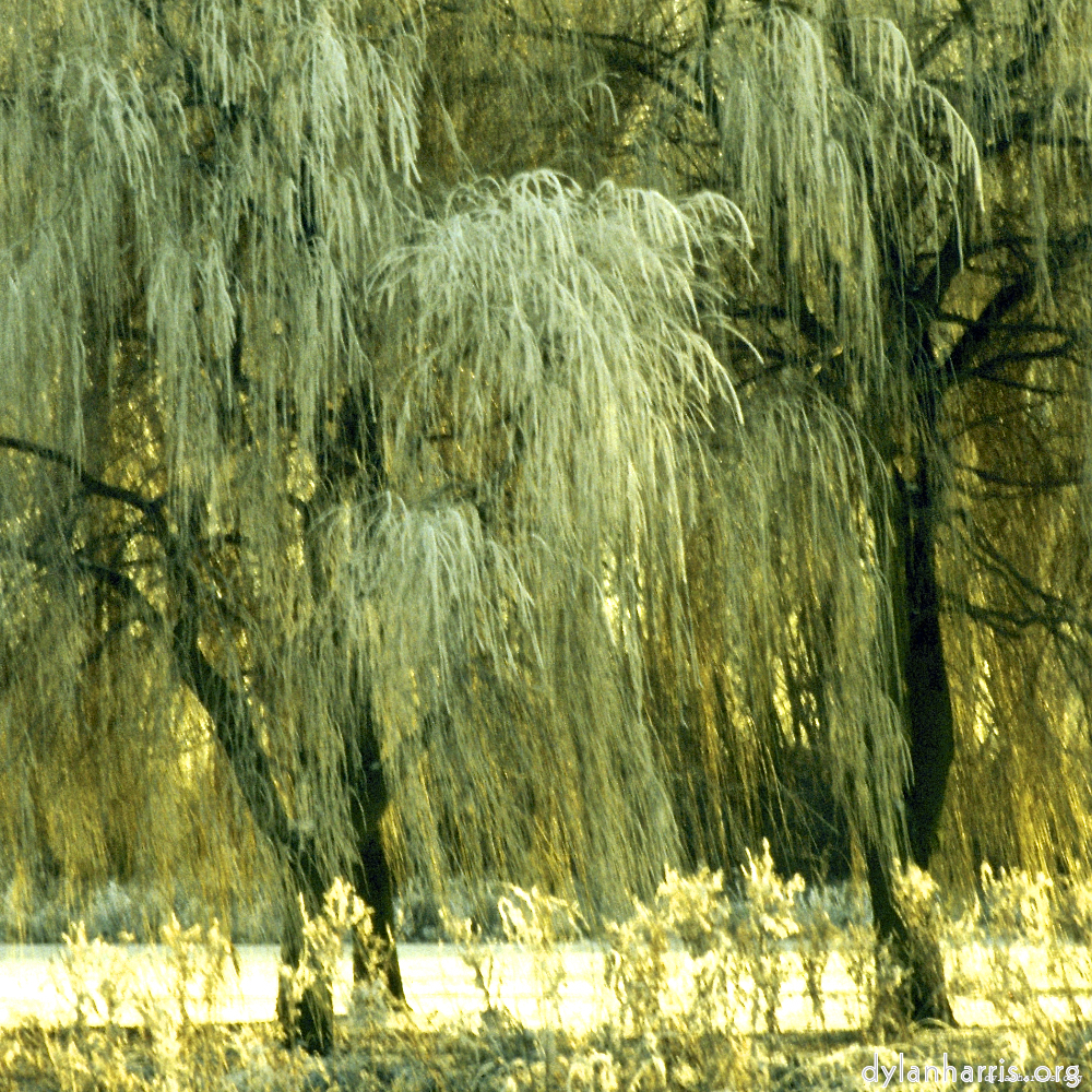 Image 'st.neots park (i) 6'.