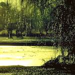 Third image from the photoset 'st.neots park (i)'.