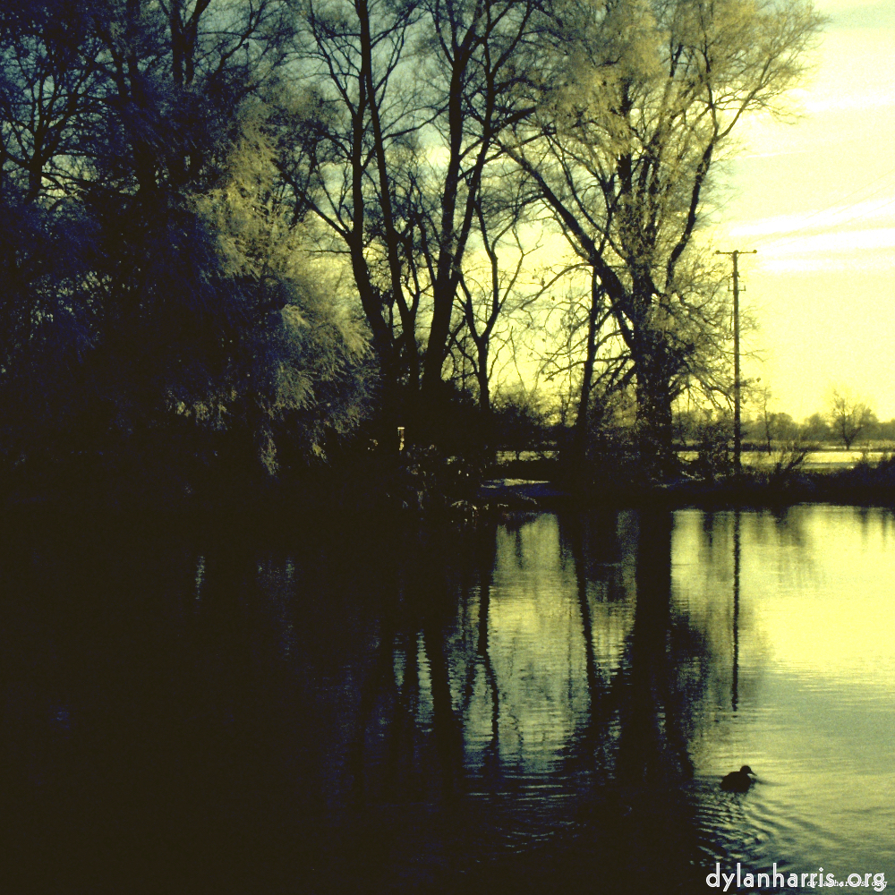 image: This is &lsquo;st.neots park (ii) 1&rsquo;.