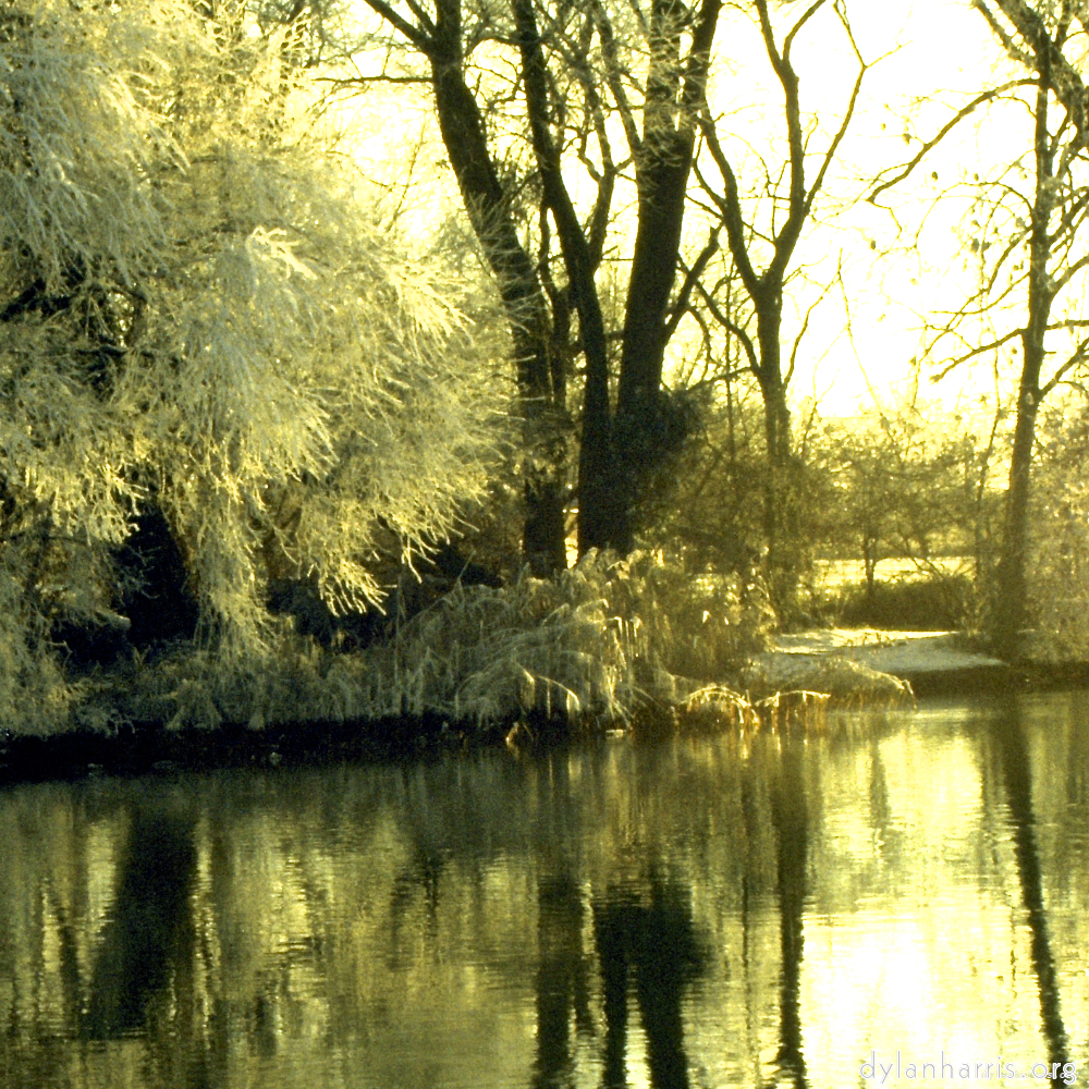 image: This is &lsquo;st.neots park (ii) 2&rsquo;.
