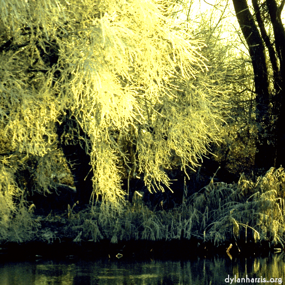 image: This is &lsquo;st.neots park (ii) 7&rsquo;.