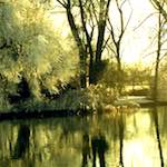 image: Image from the photoset &lsquo;st.neots park (ii)&rsquo;.