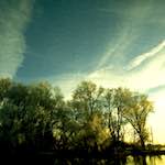 image: Image from the photoset &lsquo;st.neots park (ii)&rsquo;.