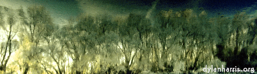 Image 'st.neots park (iii) 1'.