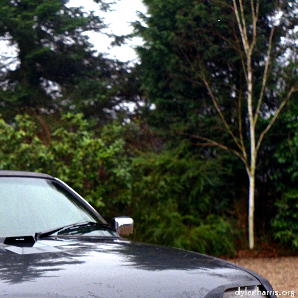 image: This is &lsquo;citro&euml;n (ix) 3&rsquo;.