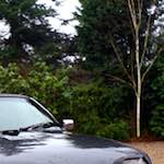 image: Image from the photoset &lsquo;citro&euml;n (ix)&rsquo;.