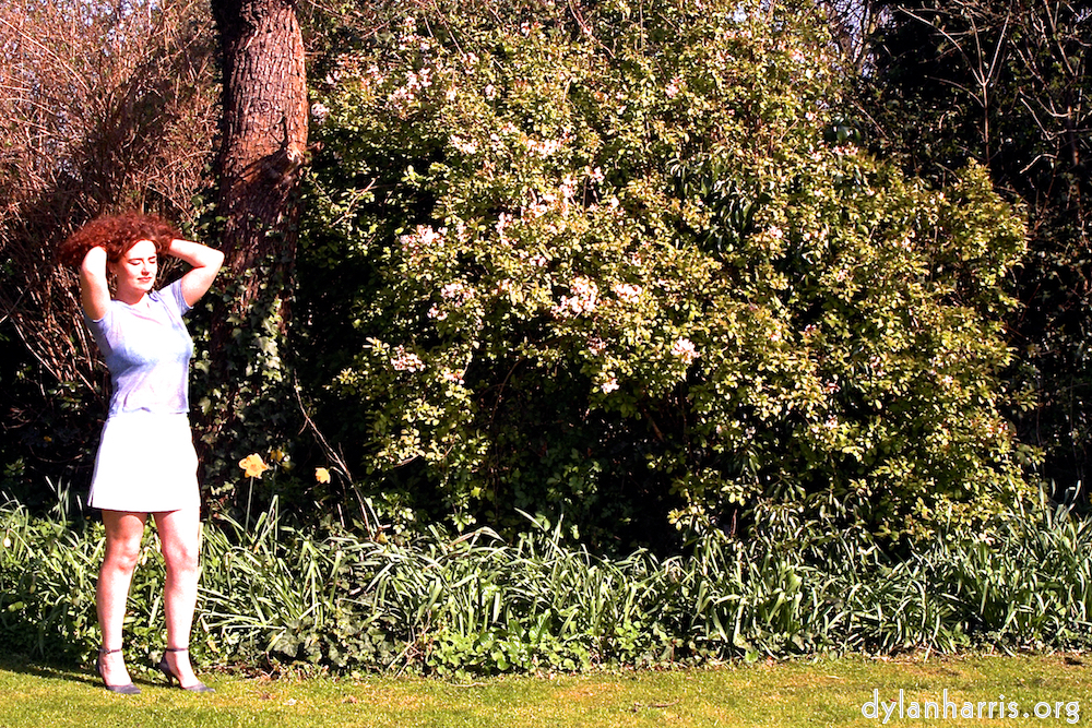 image: This is &lsquo;kerry (i) 1&rsquo;.