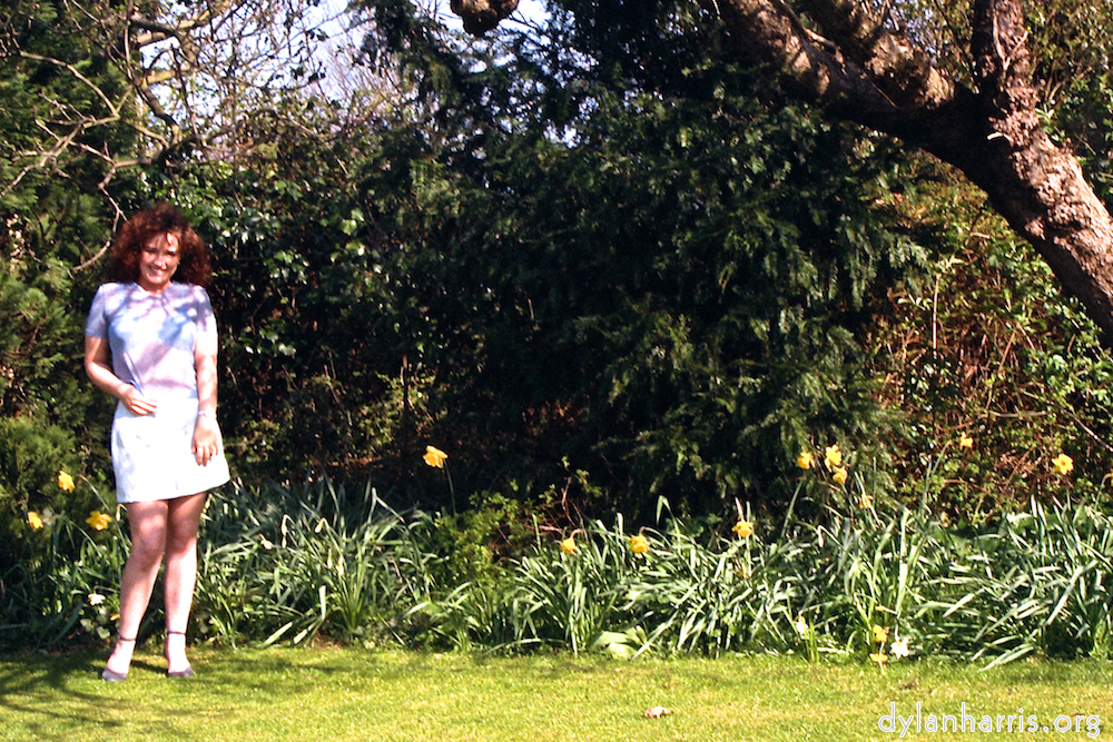 image: This is &lsquo;kerry (i) 2&rsquo;.