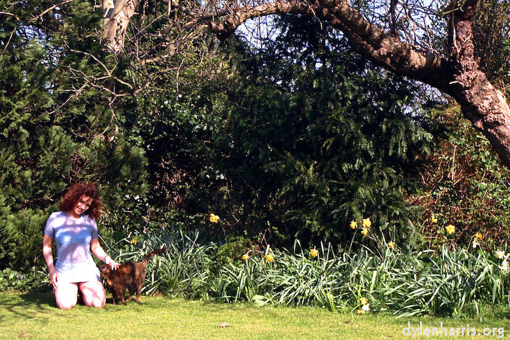 image: This is &lsquo;kerry (i) 4&rsquo;.