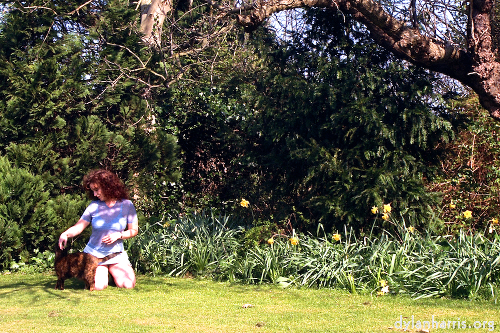 image: This is &lsquo;kerry (i) 5&rsquo;.