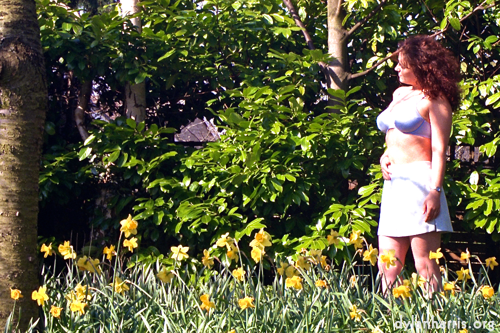 image: This is &lsquo;kerry (i) 7&rsquo;.