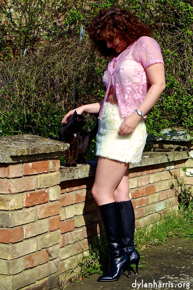 Image 'kerry (ii) 3'.