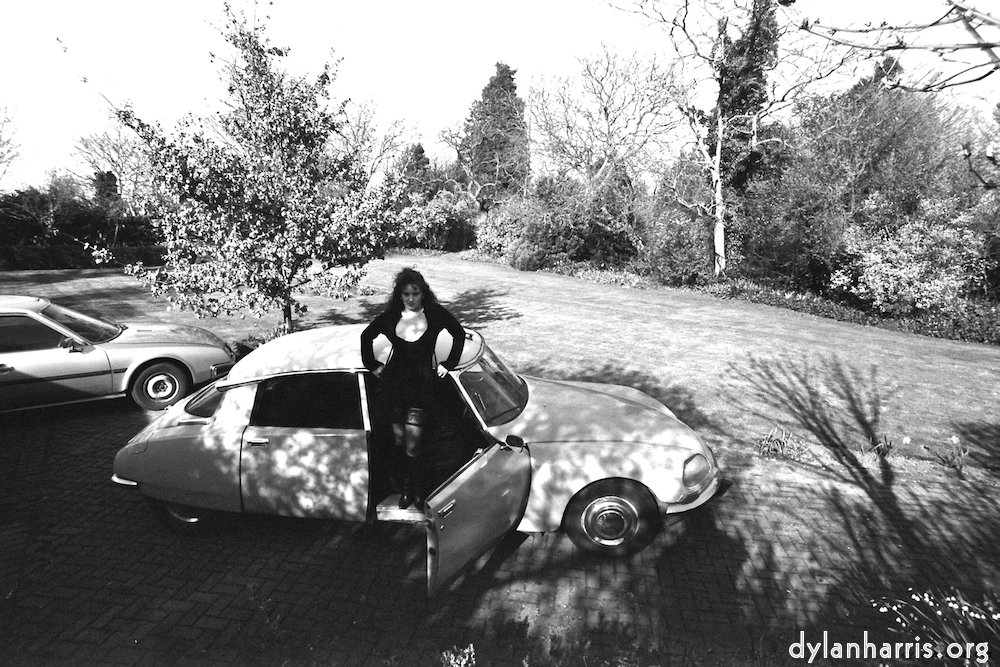 image: This is &lsquo;kerry (iii) 1&rsquo;.