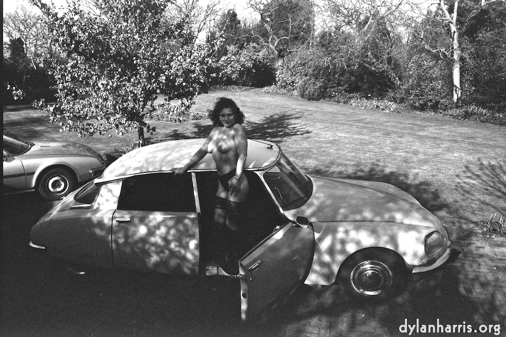 image: This is &lsquo;kerry (iii) 5&rsquo;.