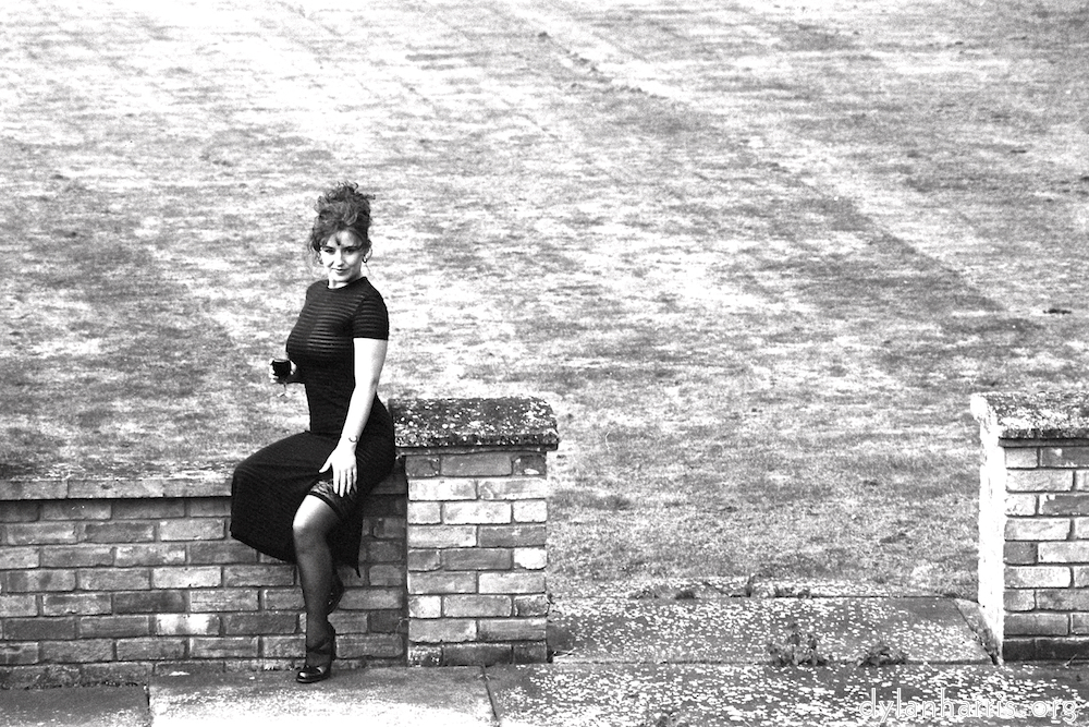 Image 'kerry (v) 1'.