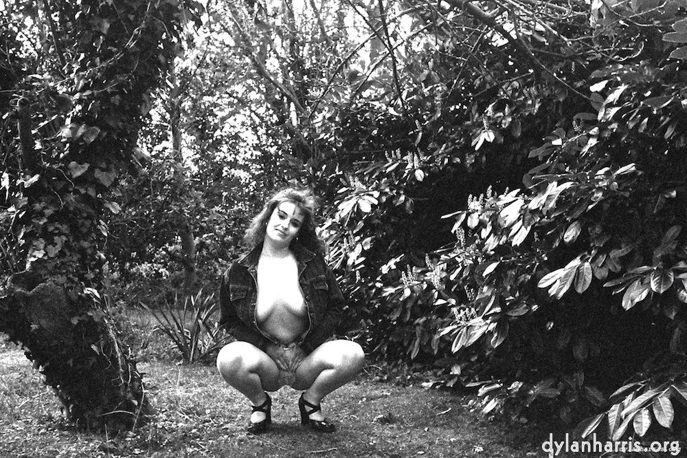 Image 'kerry (v) 2'.