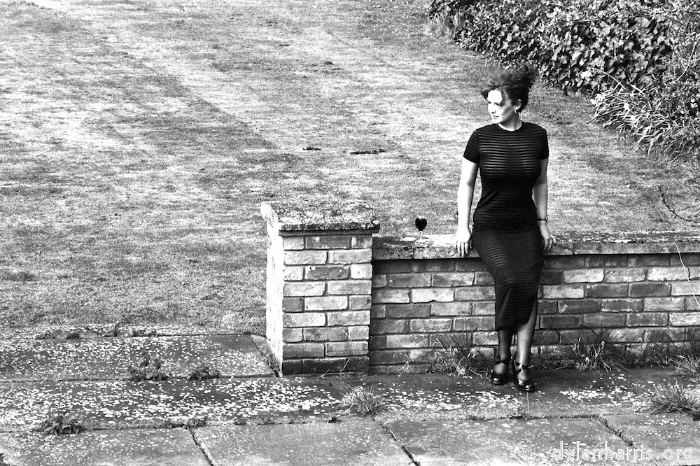 Image 'kerry (v) 3'.