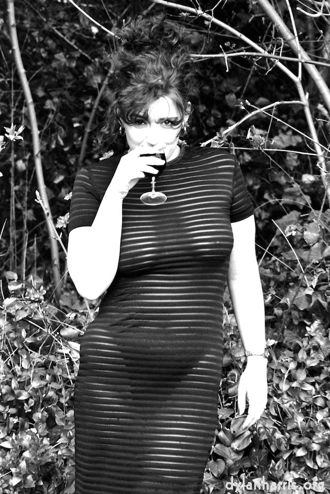 Image 'kerry (vi) 2'.