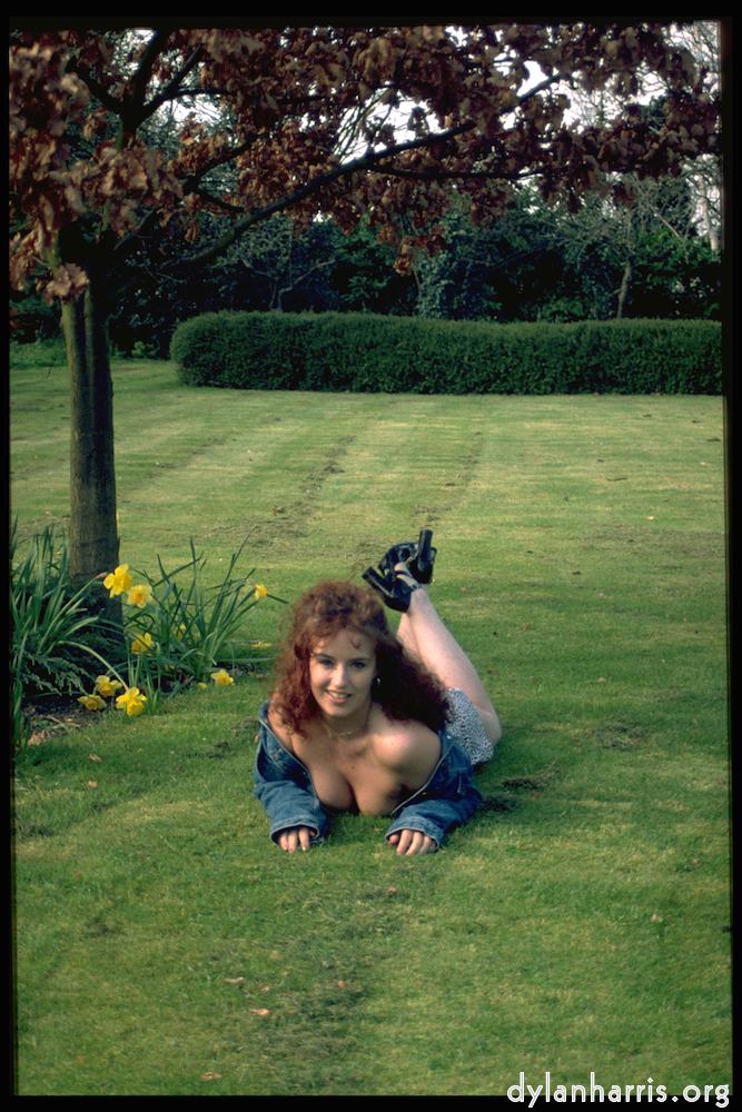 Image: Image 'kerry (ix) 1'.