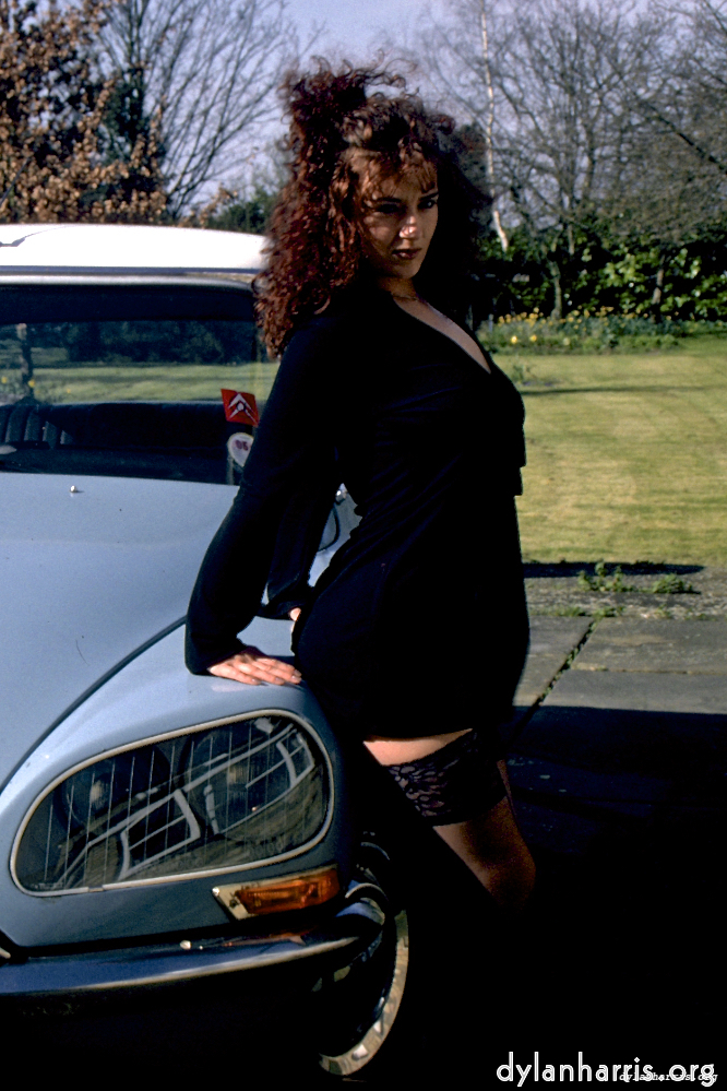 Image 'kerry (xii) 2'.