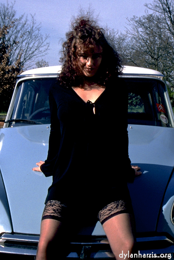 Image: Image 'kerry (xii) 3'.