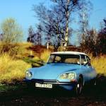 Sixth image from the photoset 'citro&euml;n (ii)'.