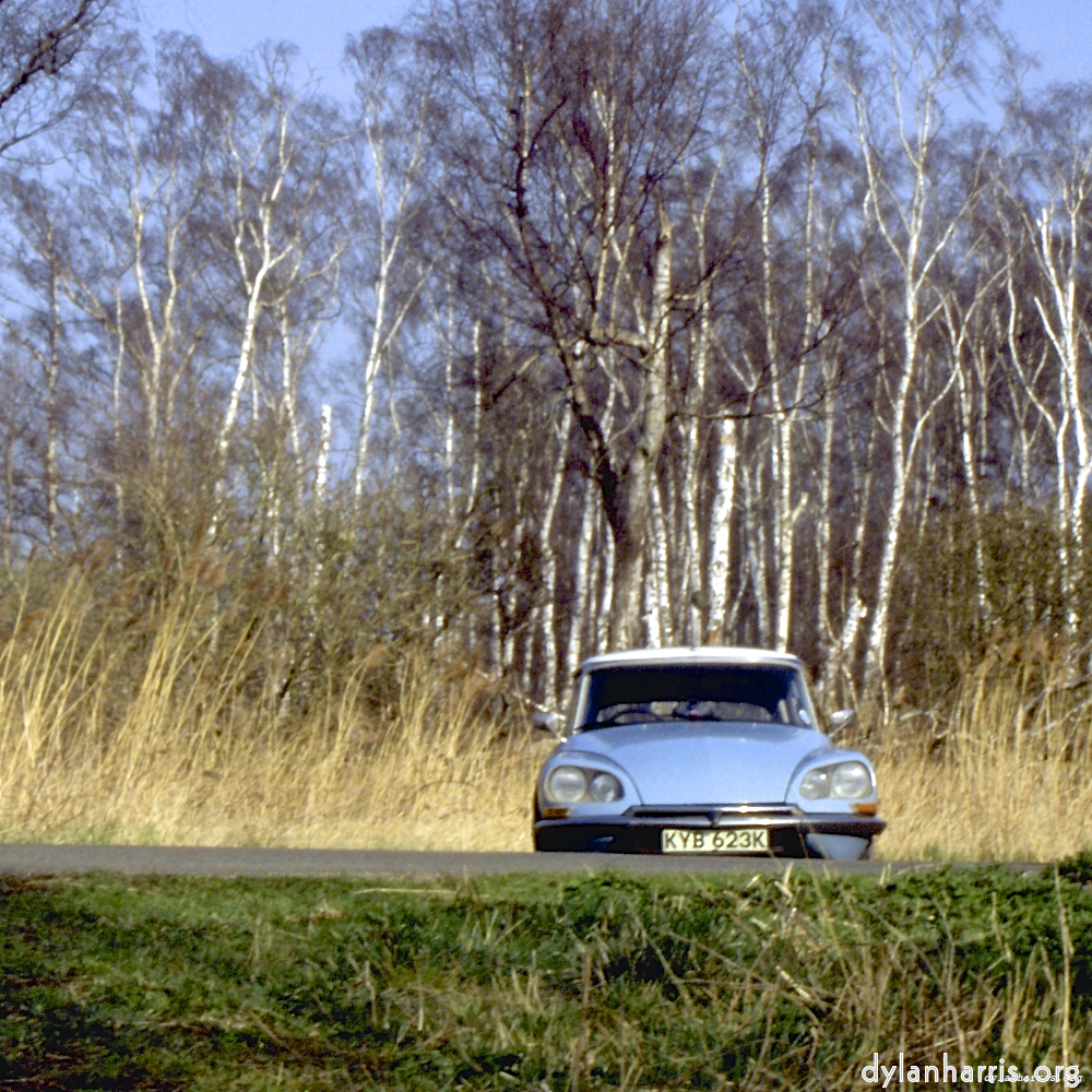 image: This is &lsquo;citro&euml;n (vii) 2&rsquo;.