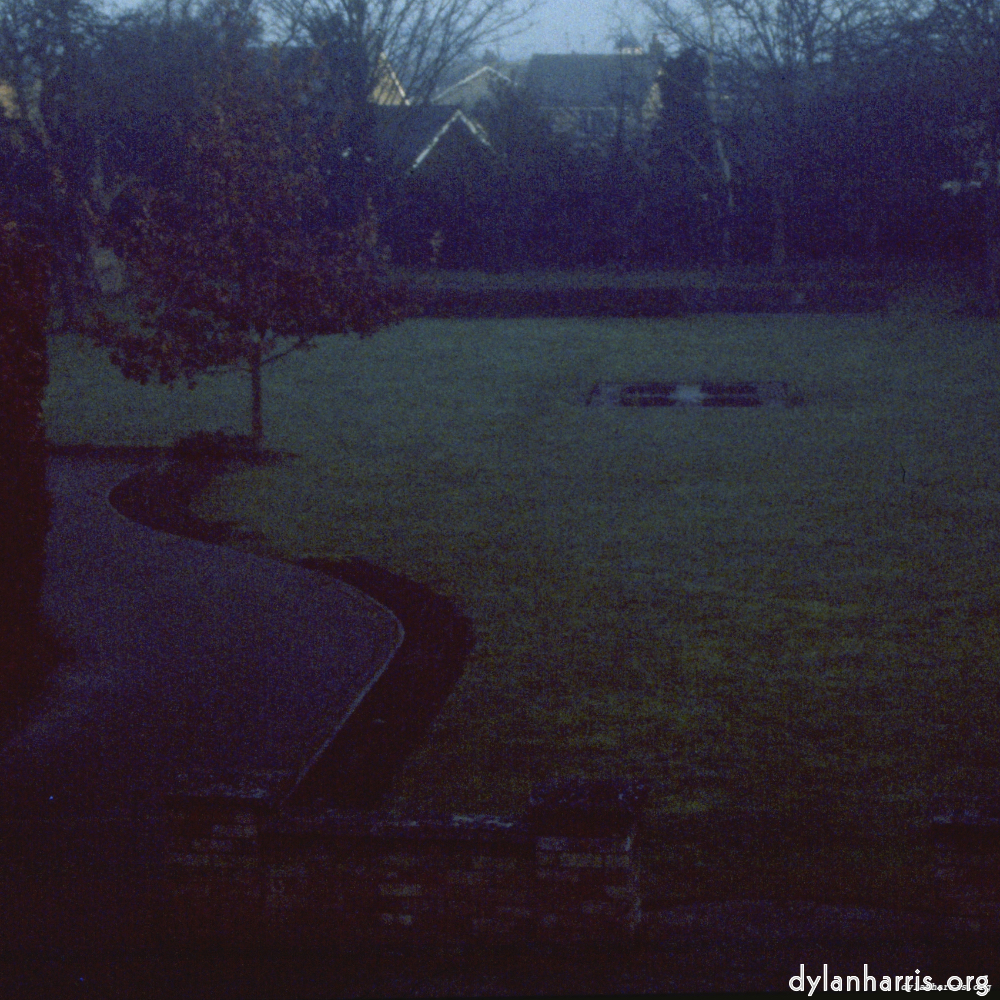 Image 'fen (iii) 1'.