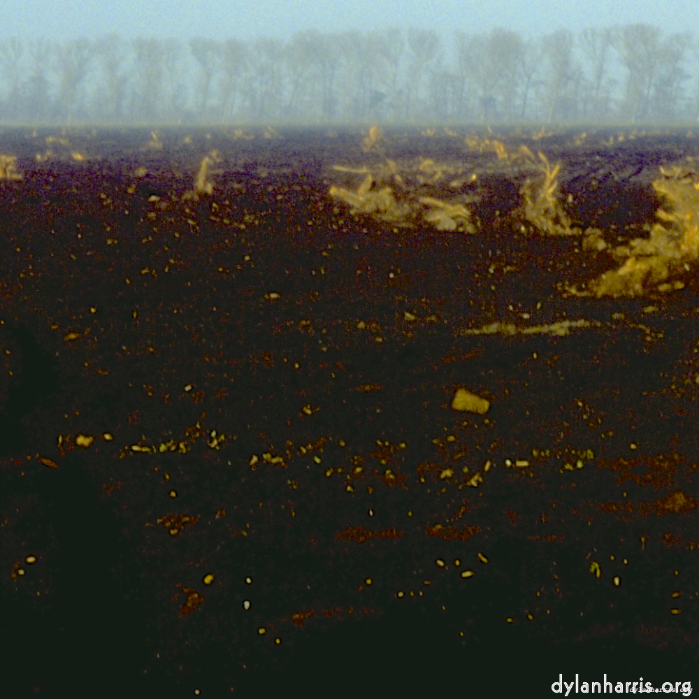 Image 'fen (iii) 3'.