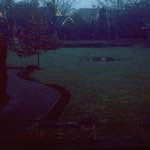 Image: First image from the photoset 'fen (iii)'.