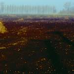 image: NT police department