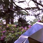 Fifth image from the photoset 'yorkshire (ii)'.