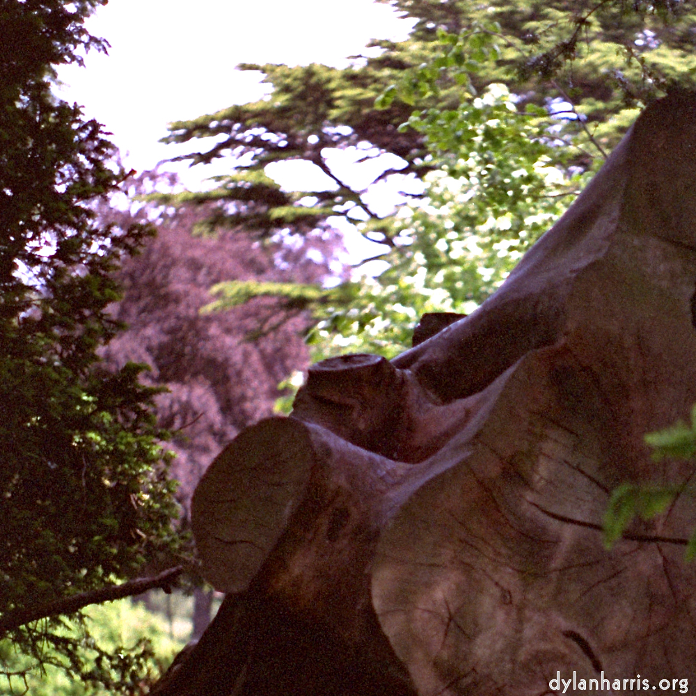 Image 'yorkshire (iii) 3'.