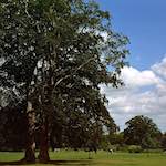 First image from the photoset 'yorkshire (iii)'.