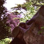 Third image from the photoset 'yorkshire (iii)'.