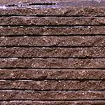 Fifth image from the photoset 'yorkshire (iii)'.