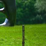 Sixth image from the photoset 'yorkshire (iii)'.