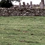 Second image from the photoset 'highlands (i)'.