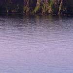 Fourth image from the photoset 'highlands (i)'.