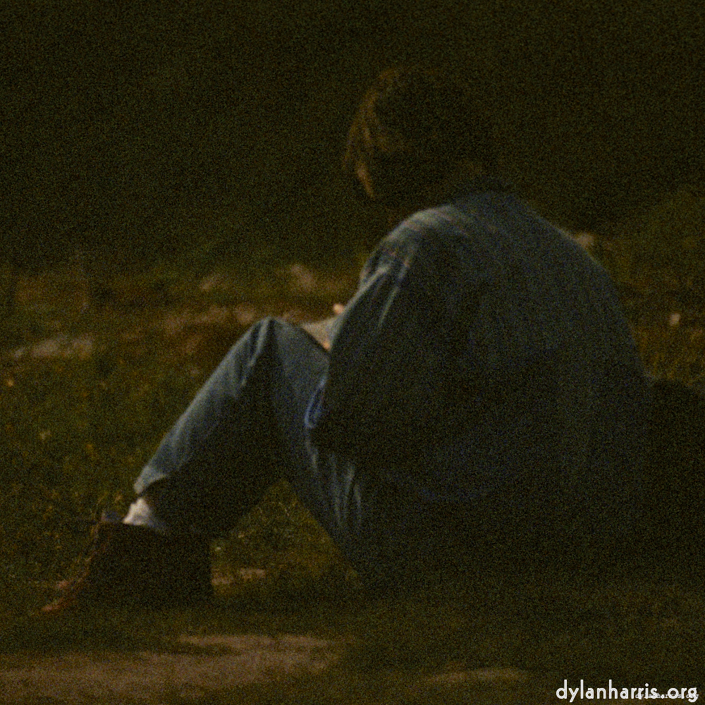 Image: Image 'LVL (ii) 2'.