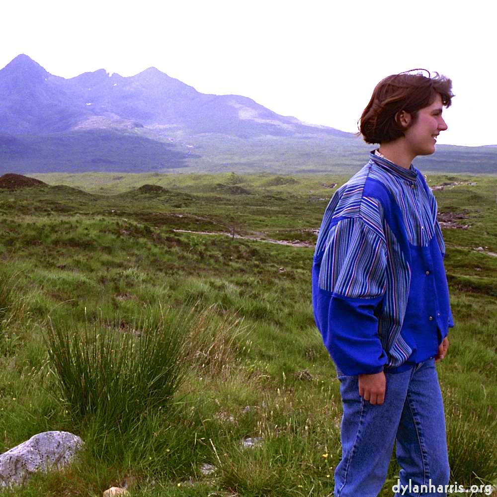 Image: Image 'LVL (ii) 4'.