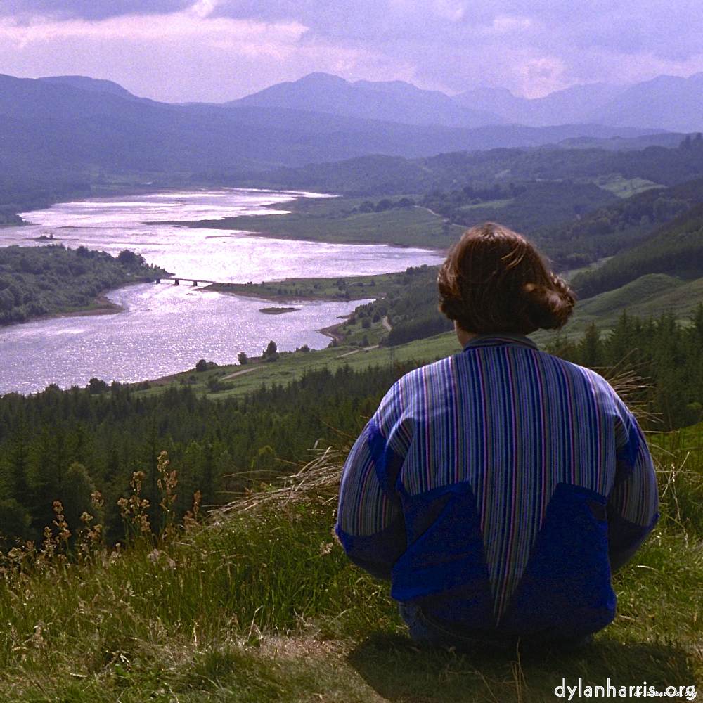 Image: Image 'LVL (ii) 8'.