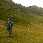 Third image from the photoset 'LVL (ii)'.