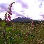 Image: Sixth image from the photoset 'highlands (iv)'.