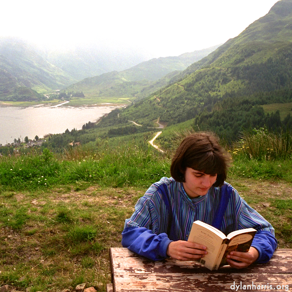 Image 'LVL (iii) 3'.