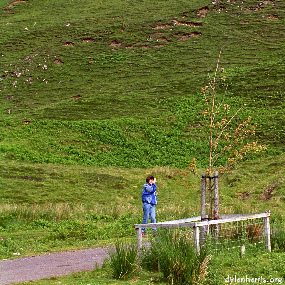 Image: Image 'LVL (iii) 4'.