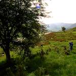 Second image from the photoset 'LVL (iii)'.