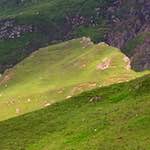 Fifth image from the photoset 'highlands (vii)'.